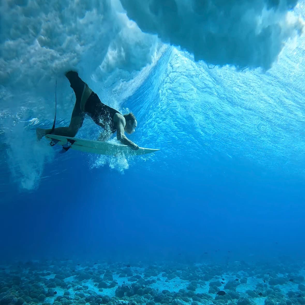 Surf-in-Fiji